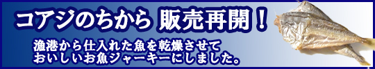 コアジのちから販売再開！