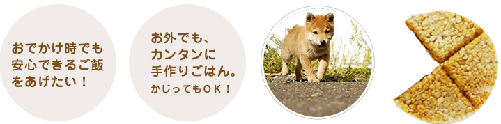 おでかけ時でも安心できるごはんをあげたい!お外でも、カンタンに手作りごはん。