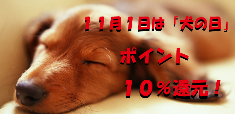 11月11日は犬の日！