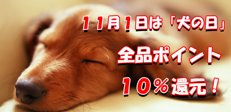 11月11日は犬の日！