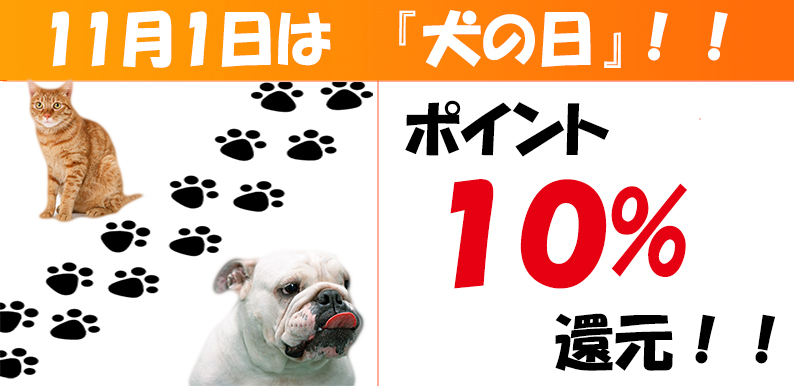 11月11日は犬の日！