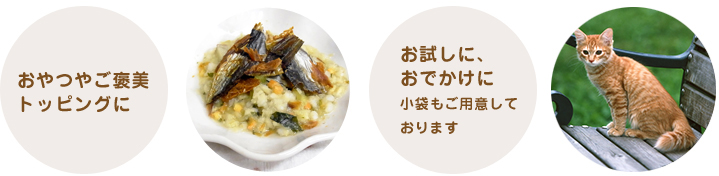 おでかけ時でも安心できるごはんをあげたい!お外でも、カンタンに手作りごはん。