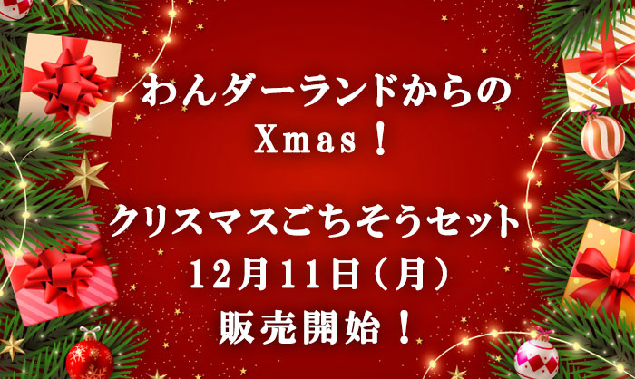 クリスマスセット