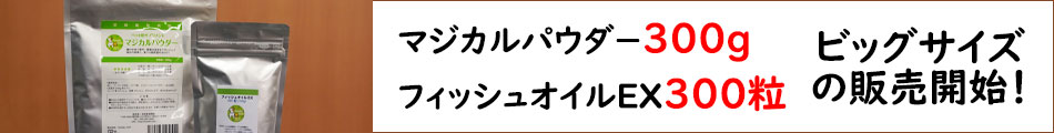 ビッグサイズ販売開始