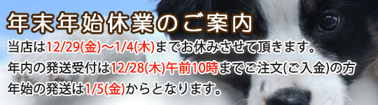 年末年始