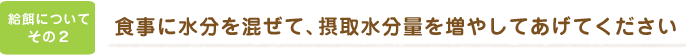 食事に水分を混ぜて、摂取水分量を増やしてあげてください