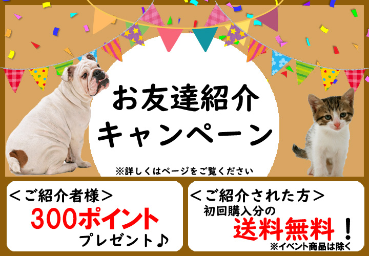 新発売