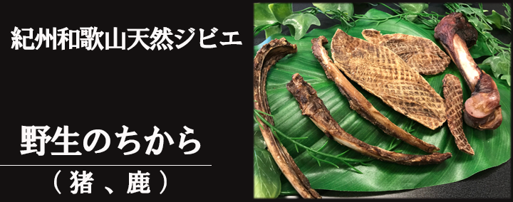 お魚のちからシリーズ