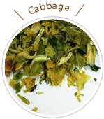 cabbage