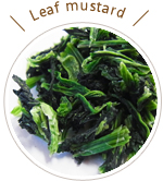 leafmustard