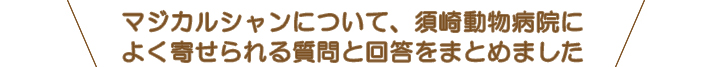 マジカルシャンについて、よくあるご質問と回答をまとめました