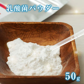 乳酸菌パウダー