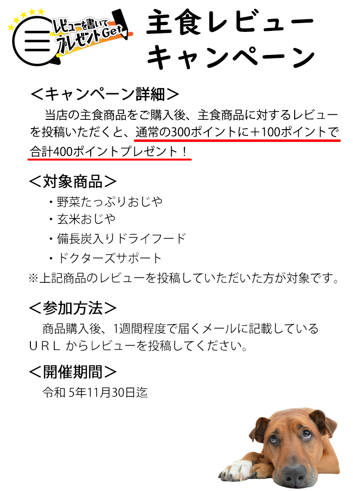 レビューキャンペーン