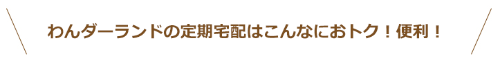 わんダーランドの定期宅配はこんなにおトク！便利！