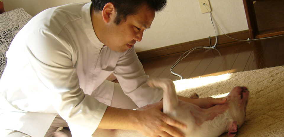 須崎恭彦先生のご紹介