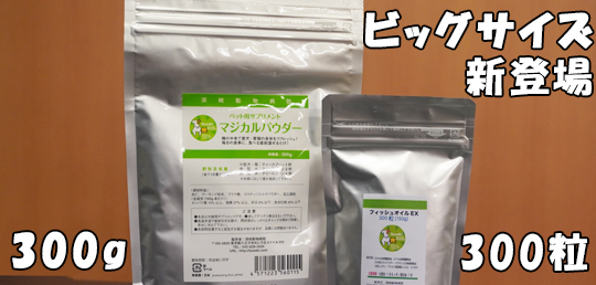 ビッグサイズ