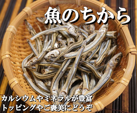 魚のちから