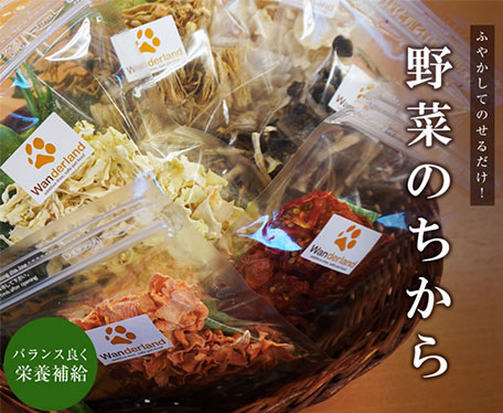 野菜のちから