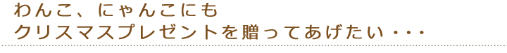 鹿肉について