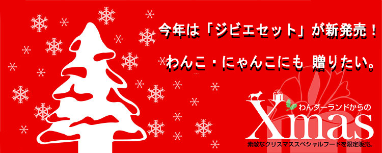 わんダーランドからのクリスマスプレゼント