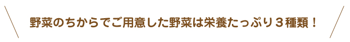 野菜のちからでご用意した野菜は栄養たっぷり3種類！